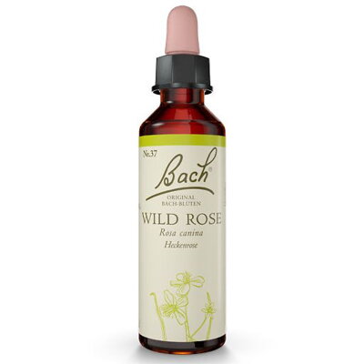 WILD ROSE (Planá šípková růže) 20 ml - Bachovy esence