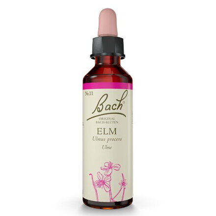 ELM (Jilm) 20 ml - Bachovy esence