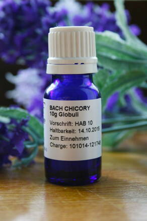 CHICORY Globuli 10 g - Bachovy esence