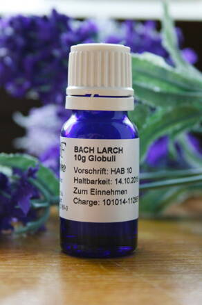 LARCH Globuli 10 g - Bachovy esence