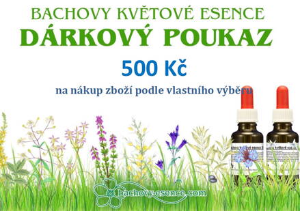 DÁRKOVÝ POUKAZ 500 Kč na nákup libovolných produktů